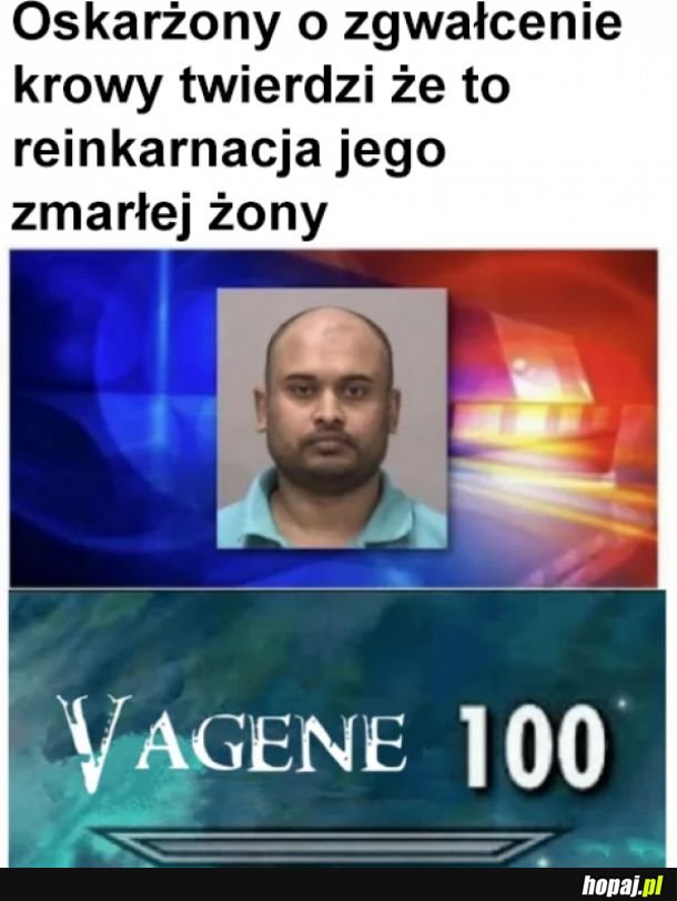 Reinkarnacja