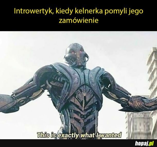 Introwertyk