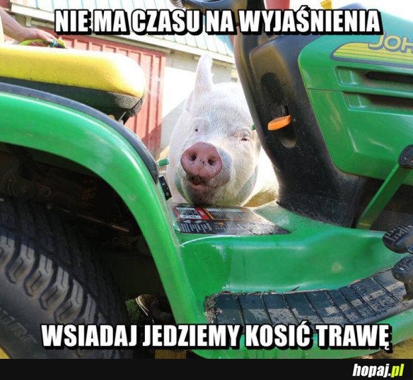 Nie ma czasu...