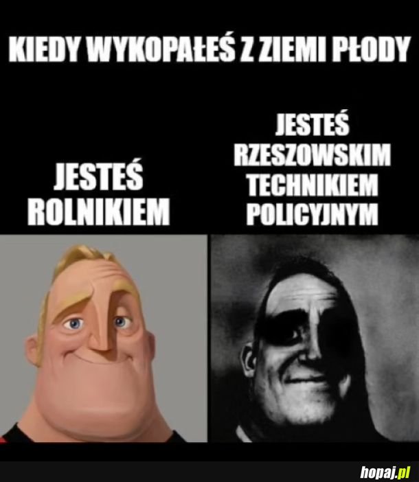 Płody