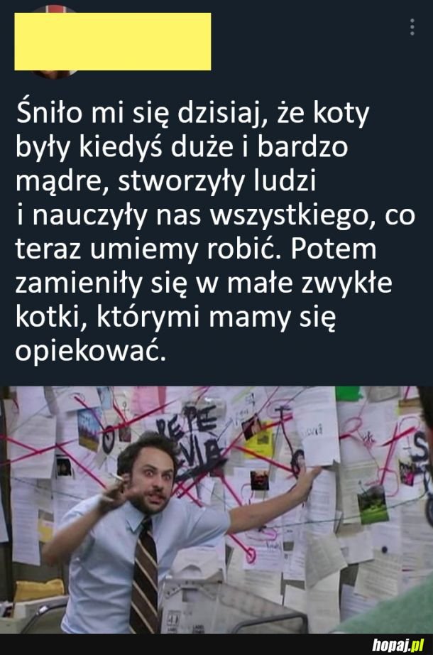 Miałem sen...