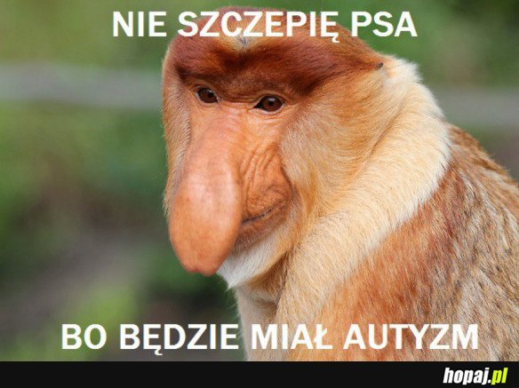MĄDRY POLAK NIE UFA SZCZEPIONKOM