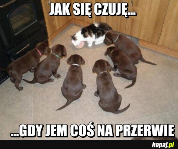 Jedzenie na przerwie