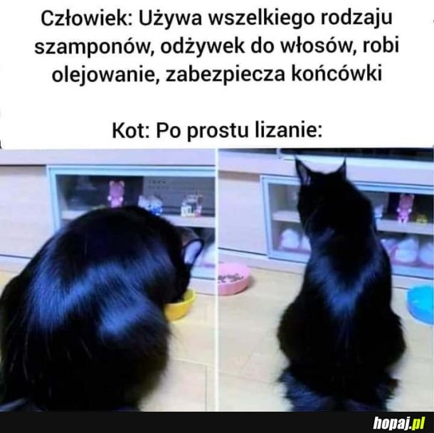 Włosy