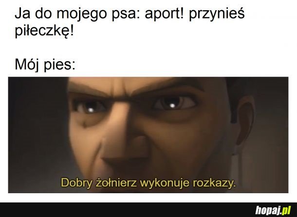 Nadszedł już czas. Wykonaj rozkaz