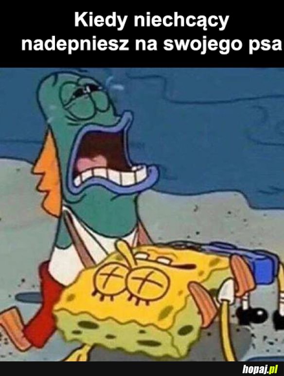 Jak mogłem
