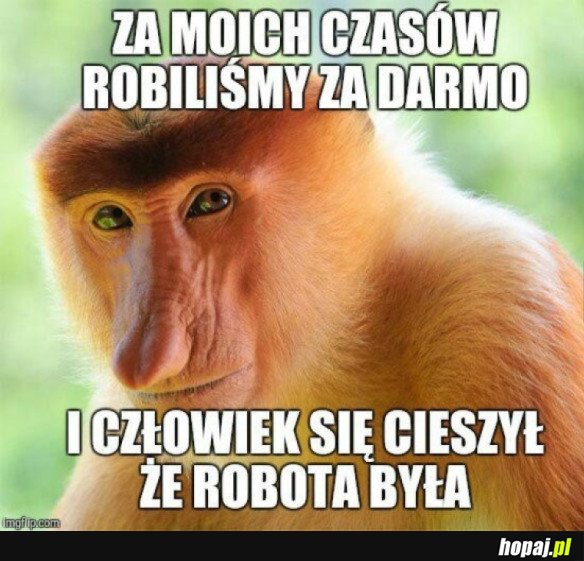 ZA MOICH CZASÓW...