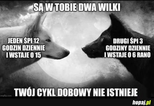 Mój cykl dobowy