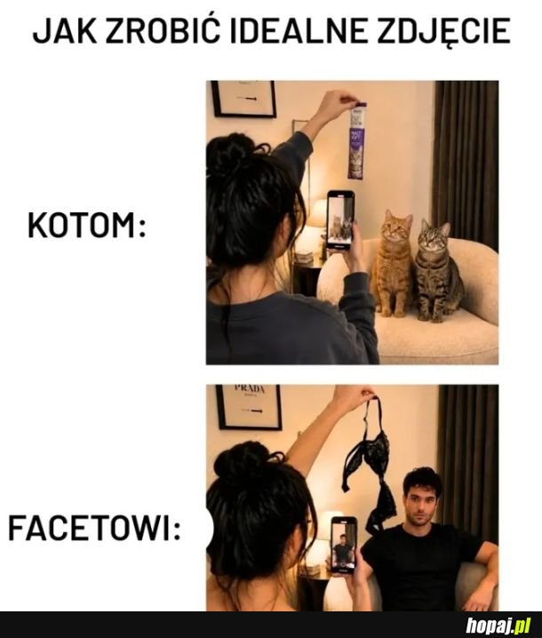 Idealne zdjęcie
