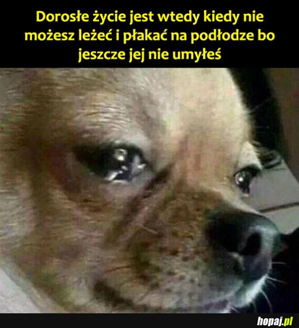 Dorosłe życie