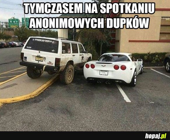 SPOTKANIE DUPKÓW