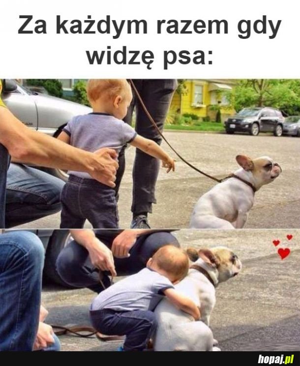 Piesiulek taki ładny