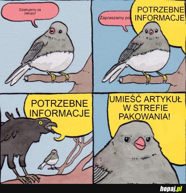 Pająk je Biedronkę