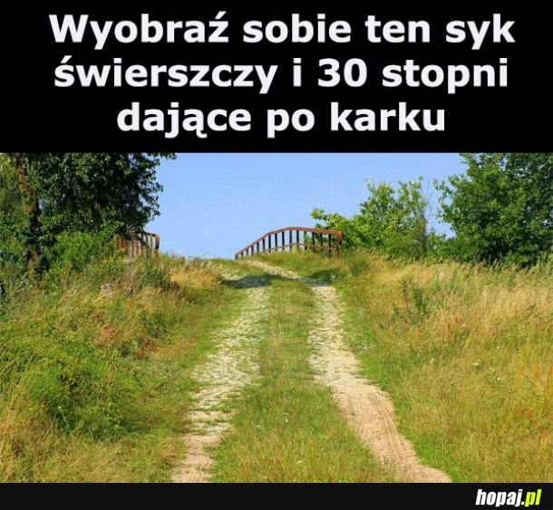 Wyobraź to sobie