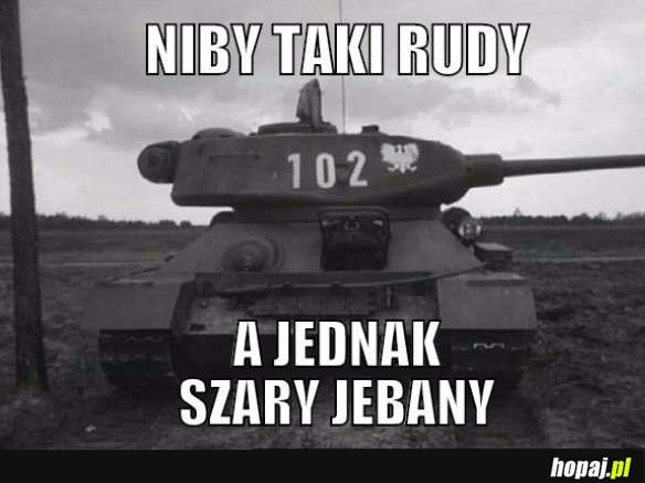 NIBY TAKI RUDY