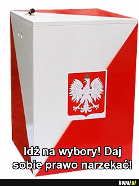 Wybory