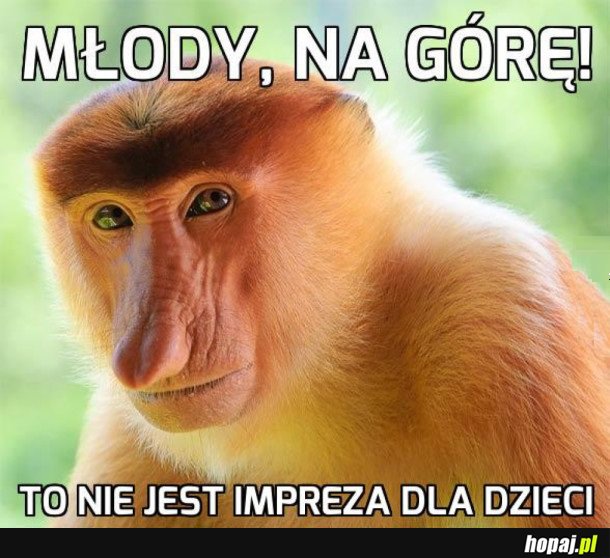 SIO POSZEDŁ JUŻ!