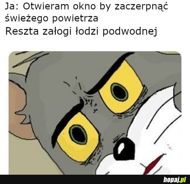 Kąd te zdziwienie ? 