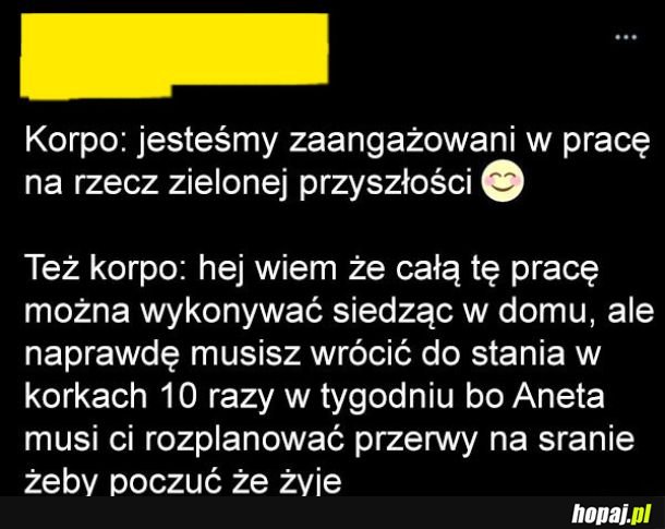 Zielona przyszłość