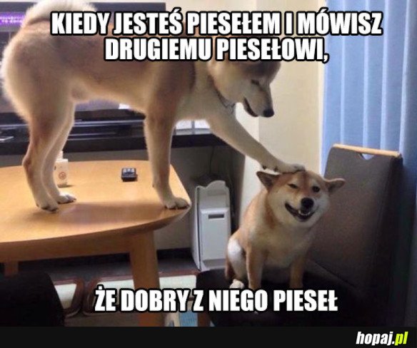 Dobry pieseł