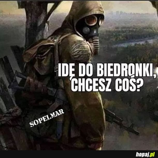 Biedronka