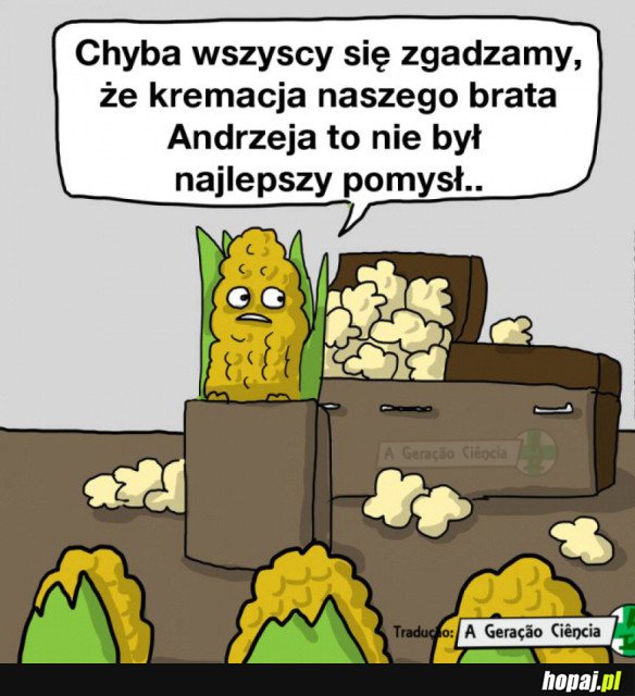 KREMACJA ANDRZEJA 