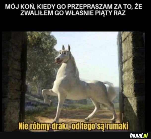Rumak