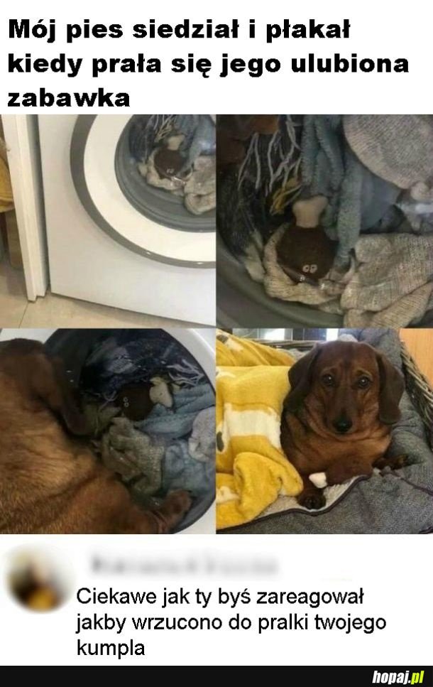 Przyjaciel w pralce