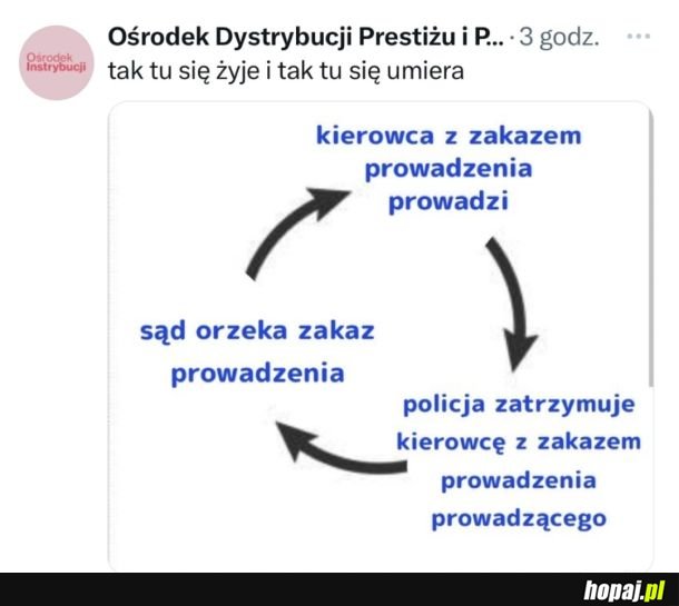 A wy ile macie już zakazów prowadzenia?