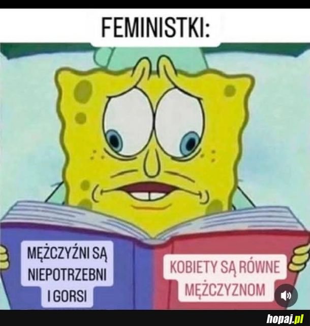 Feministki