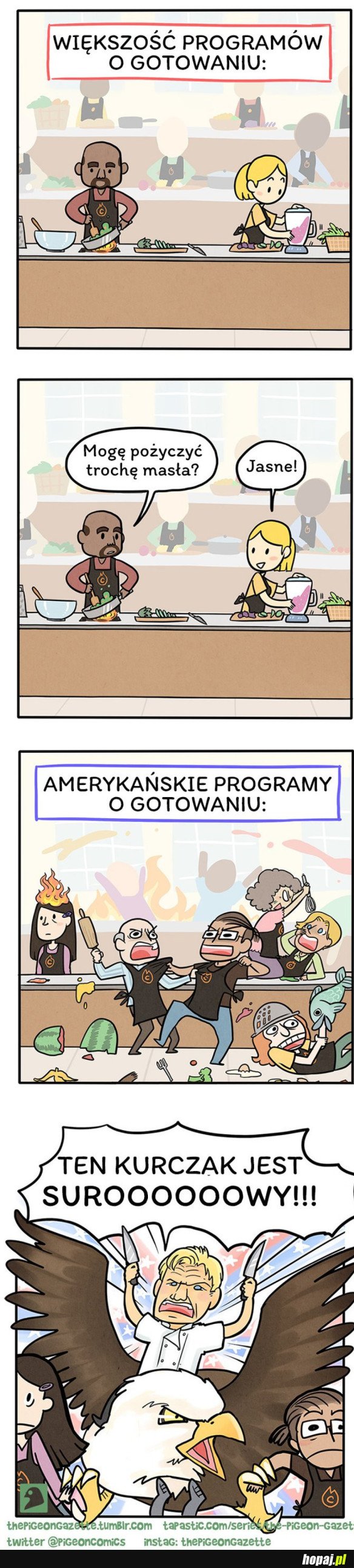 PROGRAMY O GOTOWANIU TAKIE SĄ