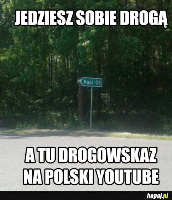 DROGOWSKAZ NA POLSKI YOUTUBE