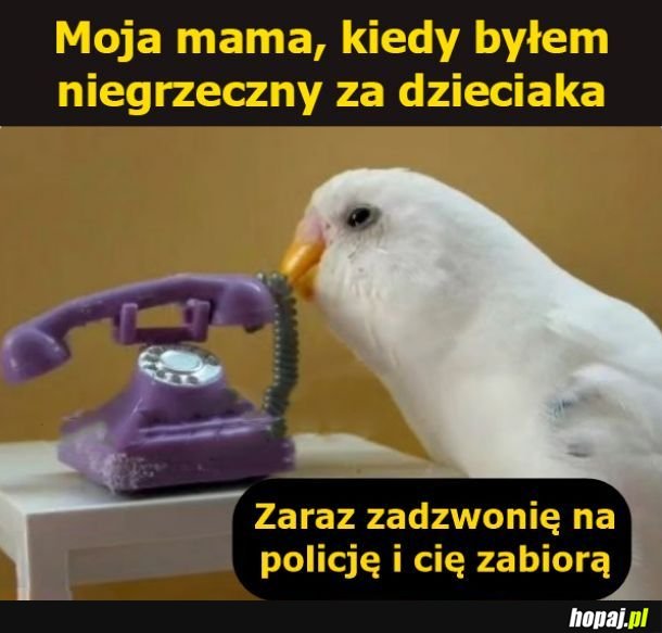 Bywało