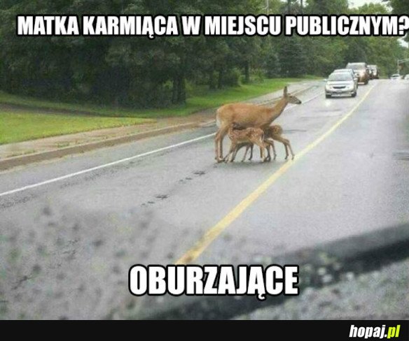 Oburzające