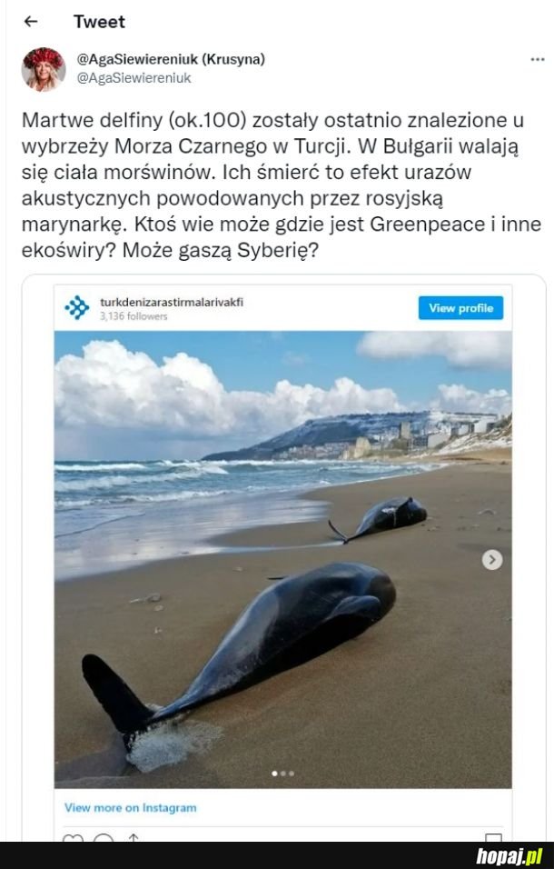 Hej #Greenpeace! wiem, że nie możecie być wszędzie, ale gdzie jesteście?