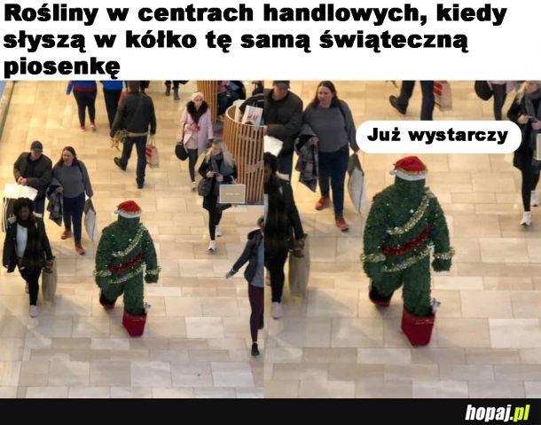 Nie wytrzymały