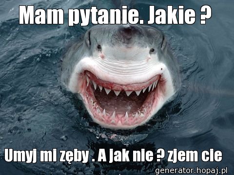 Mam pytanie. Jakie ?