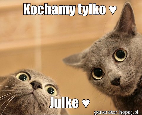 Kochamy tylko &#9829;