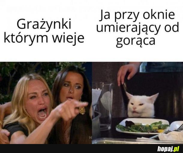 Grażynki