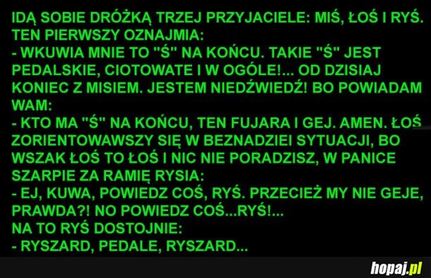 MIŚ, ŁOŚ I RYŚ