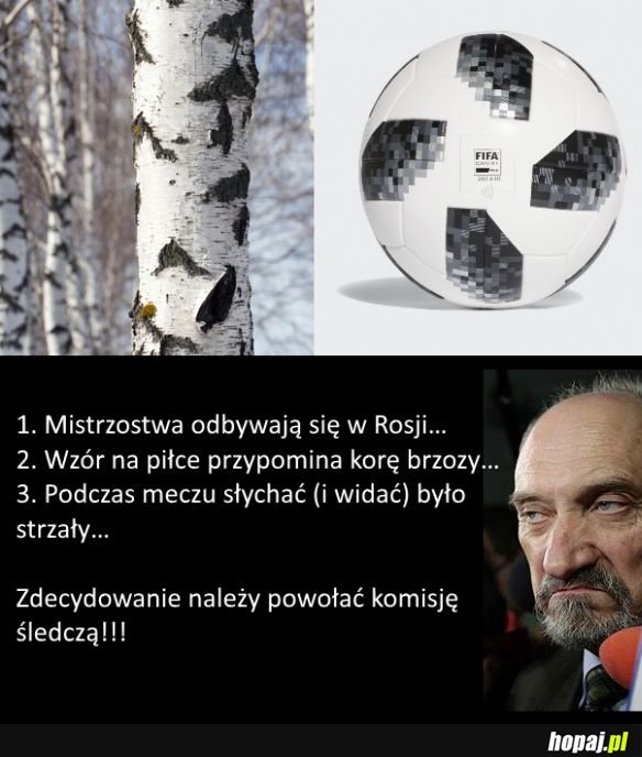 Komisja