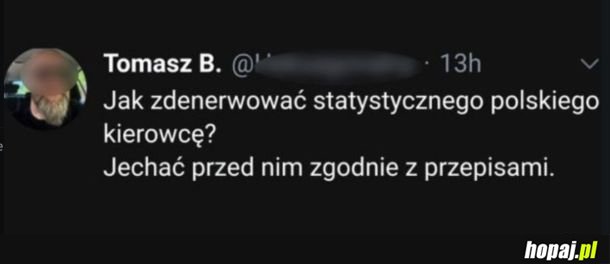 Zdecydowanie