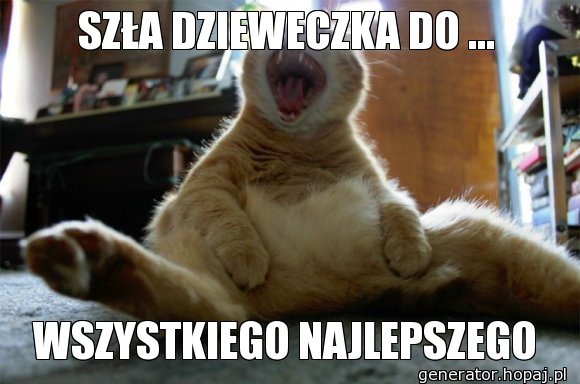 SZŁA DZIEWECZKA DO ...