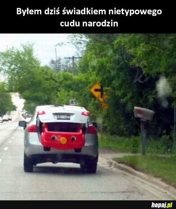 Cud narodzin