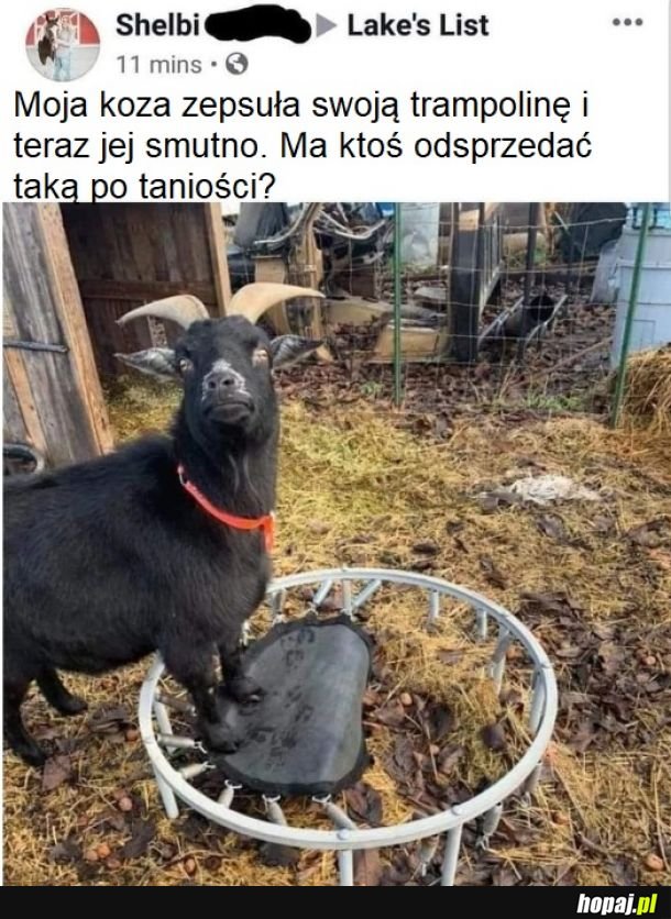 Smutna koza