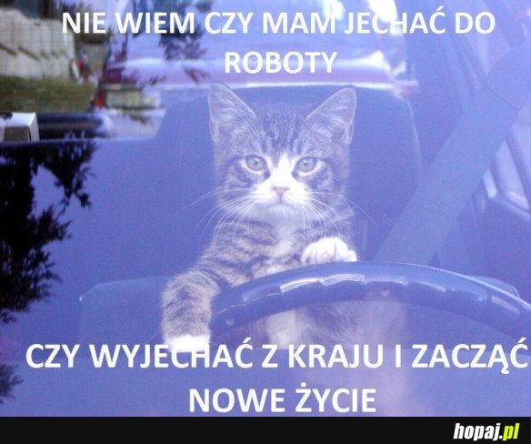 PONIEDZIAŁKOWE PRZEMYŚLENIA