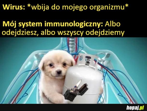 Mój system immunologiczny