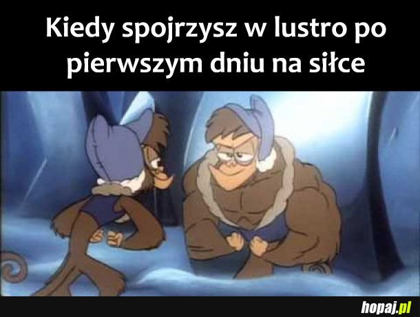 Siła i masa