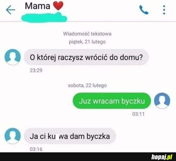 Już wracam byczku