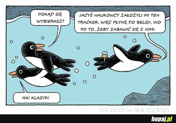 Żart dla badaczy